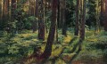 helechos en el bosque siverskaya 1883 paisaje clásico Ivan Ivanovich árboles